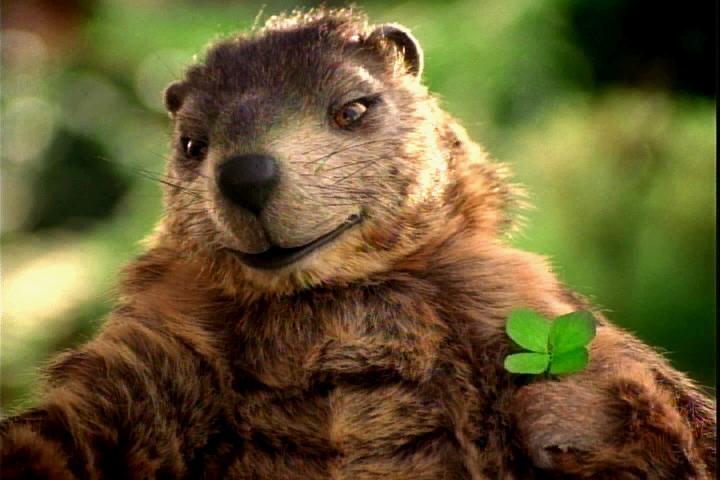 TCS- Pennsylvania Lottery's "Gus the Groundhog"